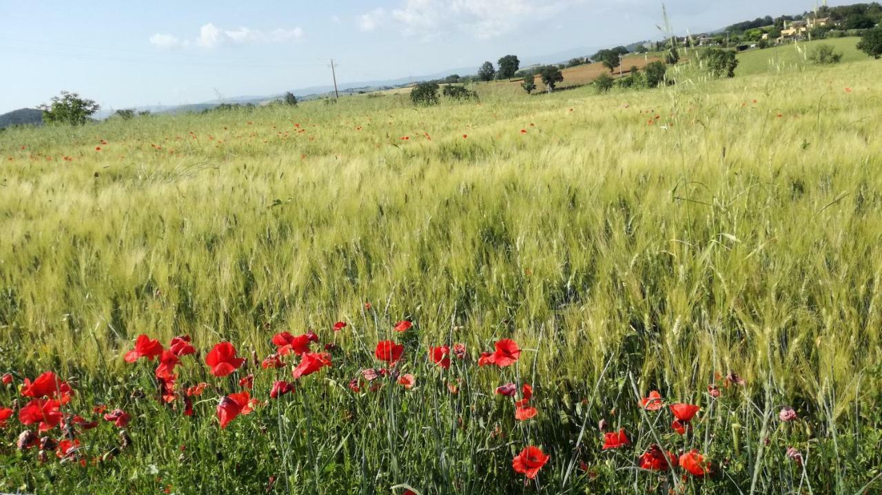Agriturismo Cavallin Del Papa Капальбио Экстерьер фото